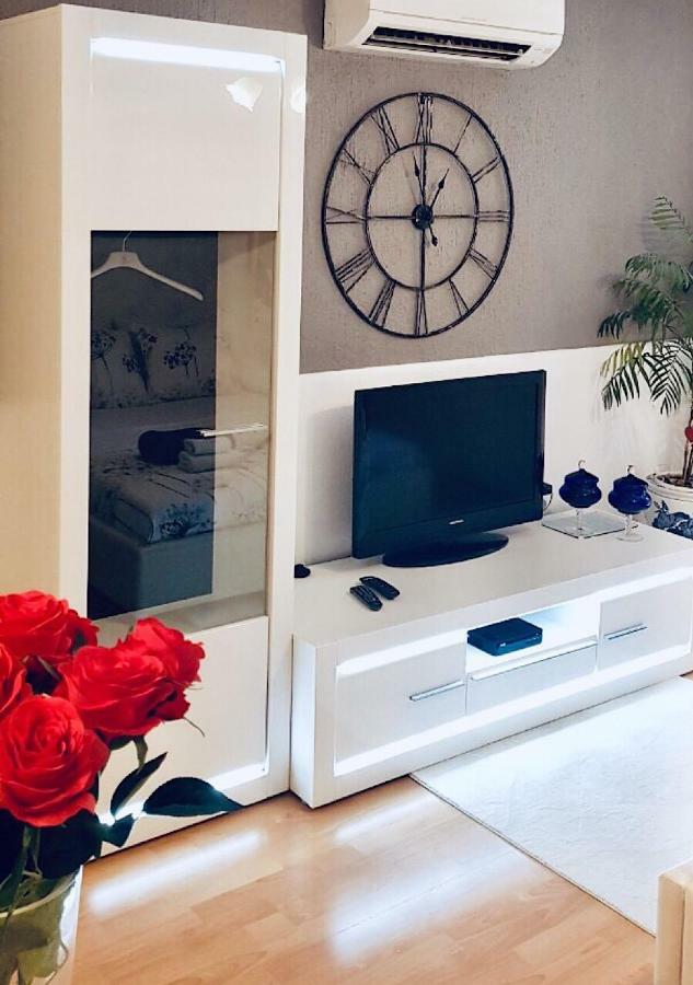 Studio Nina Umag Luaran gambar